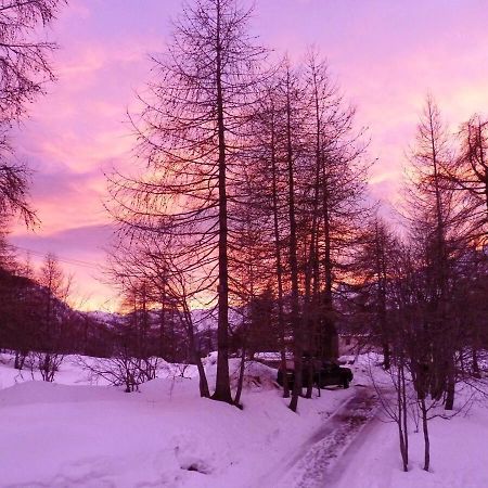 Chalet Miel De La Cayolle-Estenc Entraunes Zewnętrze zdjęcie