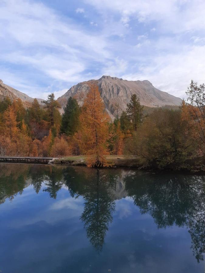 Chalet Miel De La Cayolle-Estenc Entraunes Zewnętrze zdjęcie